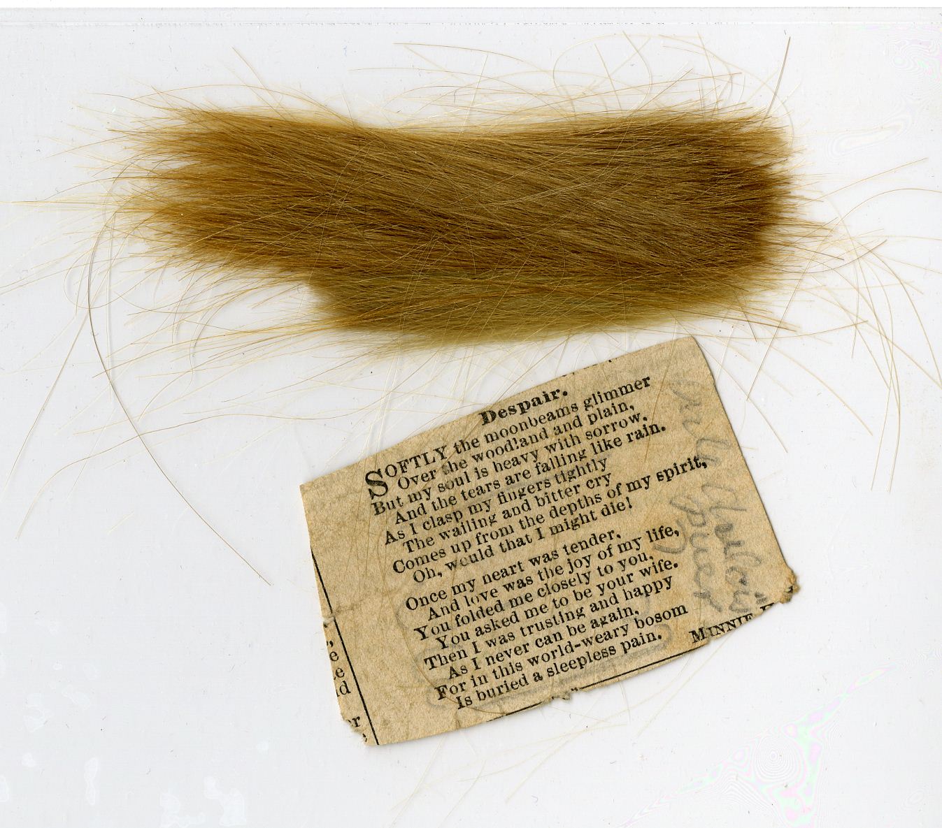 The poem accompanying a lock of hair in the Bear Papers seems to have been written from the point of view of a woman mourning the loss of her fianc. 