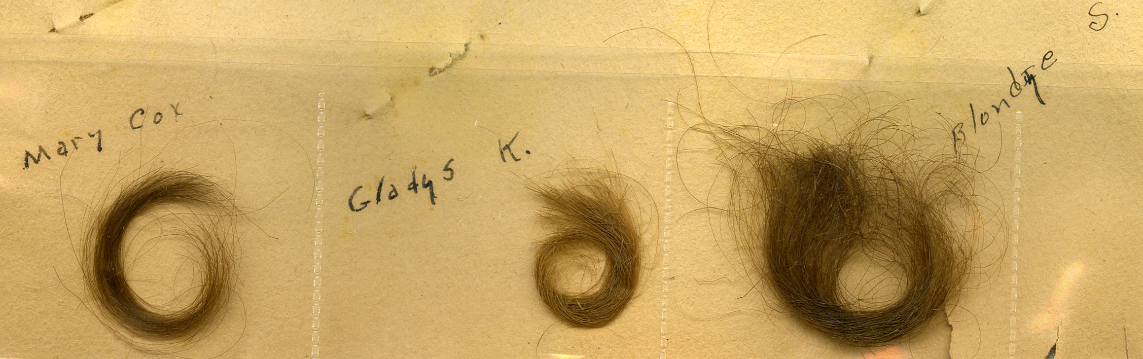 The scrapbook of Frank C. Kitts Jr., who perhaps considered himself something of a Lothario, contains locks of hair from three different women. 