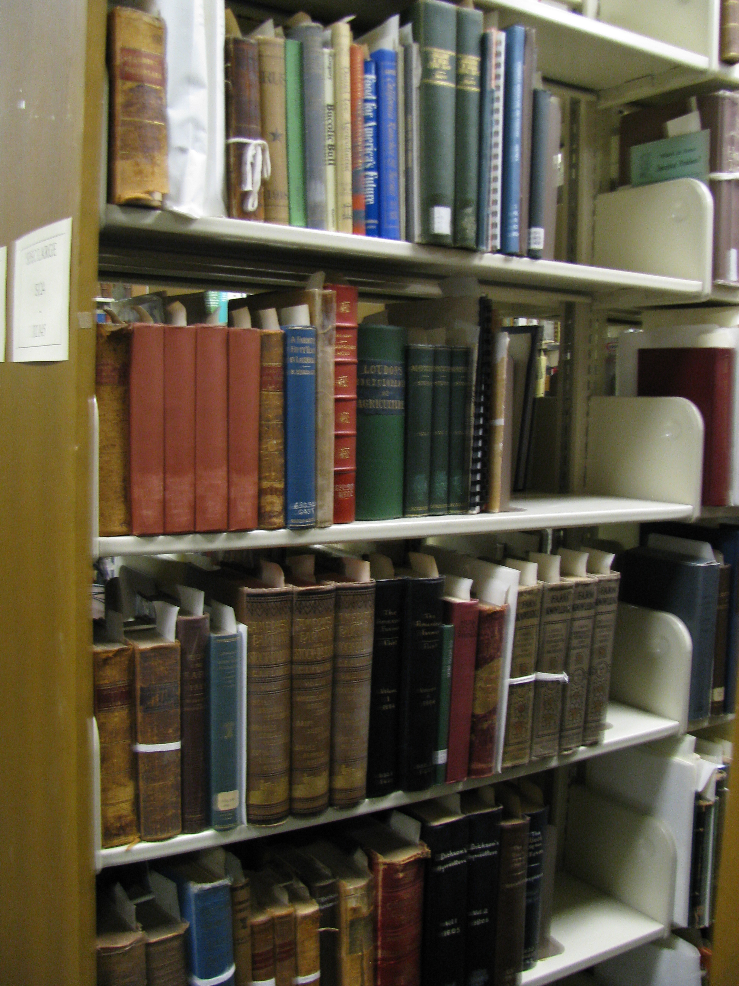 Our rare books are shelved in call number order, but not all together. We have some shelved by size (so we can maximize available shelves) and others shelved by topic (like university publications and Civil War books).