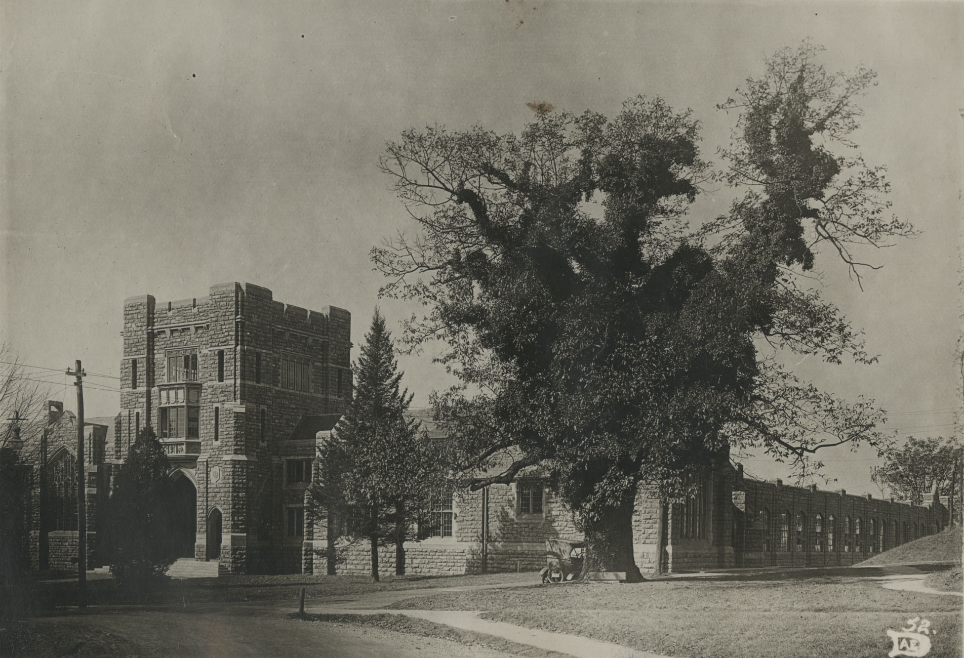 Within Masseys papers is this photo of an ivy-covered American chestnut in front of old McBryde Hall, ca. 1920. The tree would eventually be killed by the blight that decimated the chestnut population nationwide.