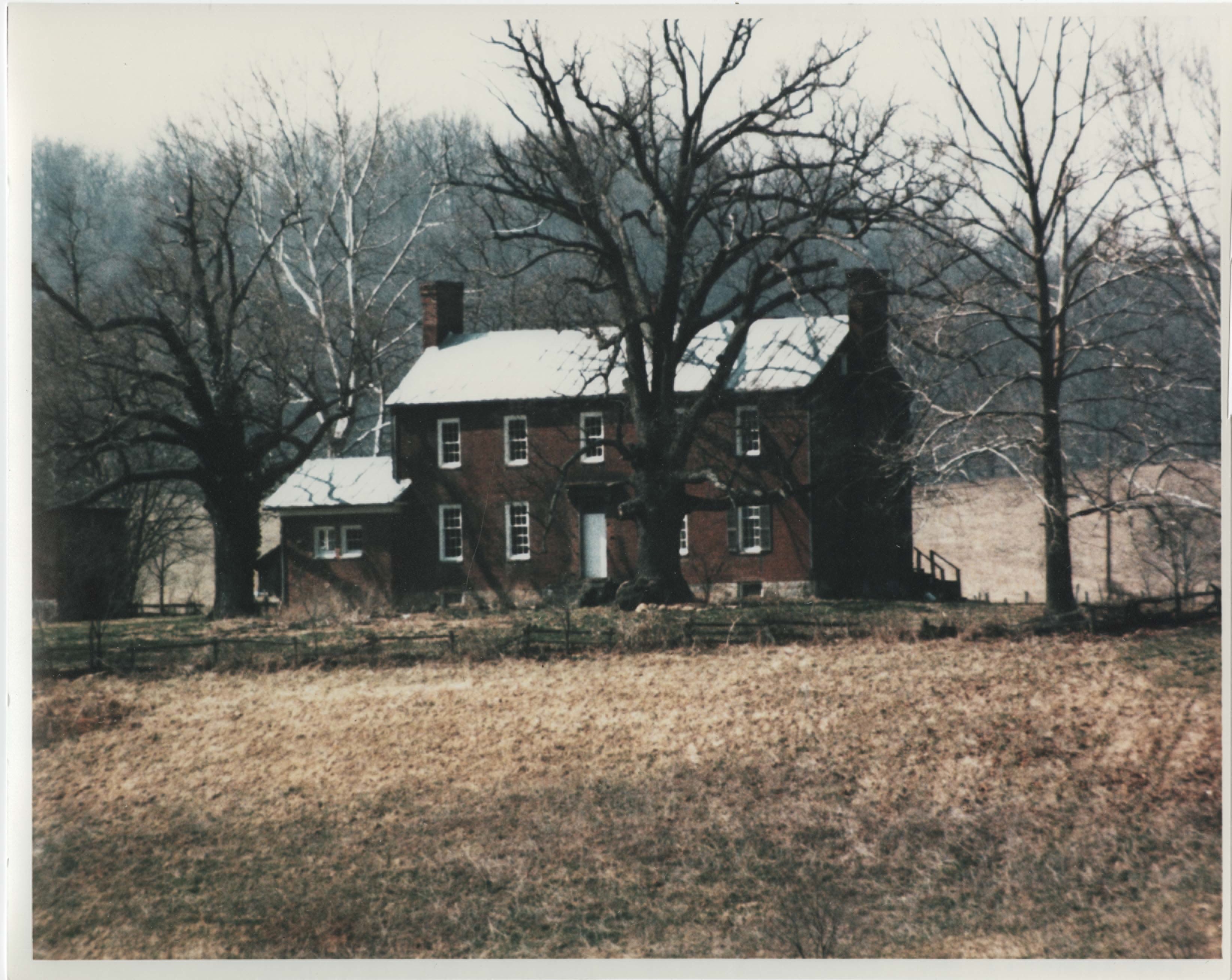 image of the front of the house with a large tree near the doorway