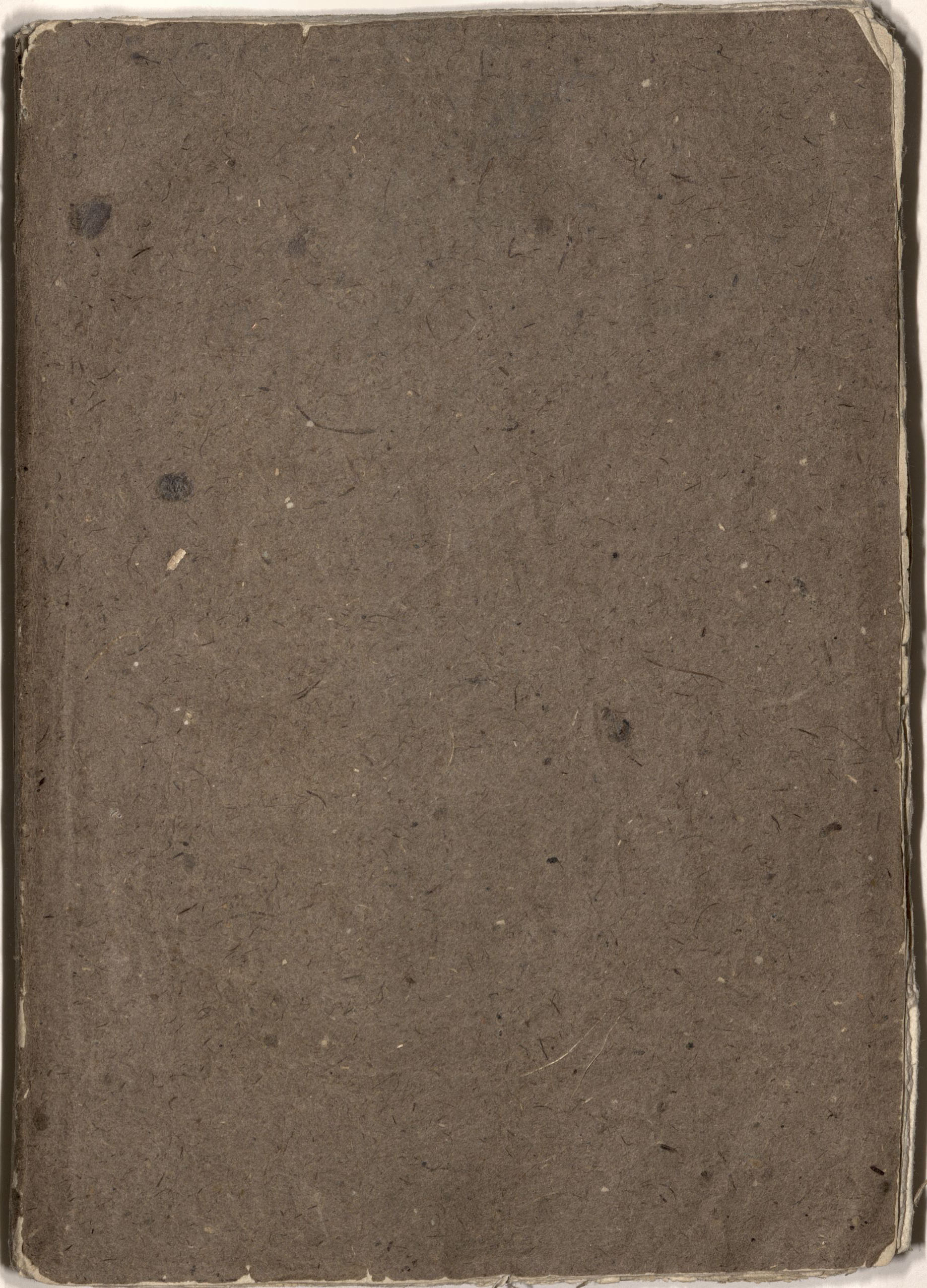 Cover of LUomo Volante per Aria, per Acqua, e per Terra