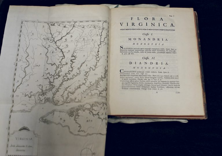 A photograph of a copy of the 1762 Flora Virginica open to the section on Monandria and Diandria. On the left side is a fold-out map of the Virginia colonial region that is larger than the bound book.