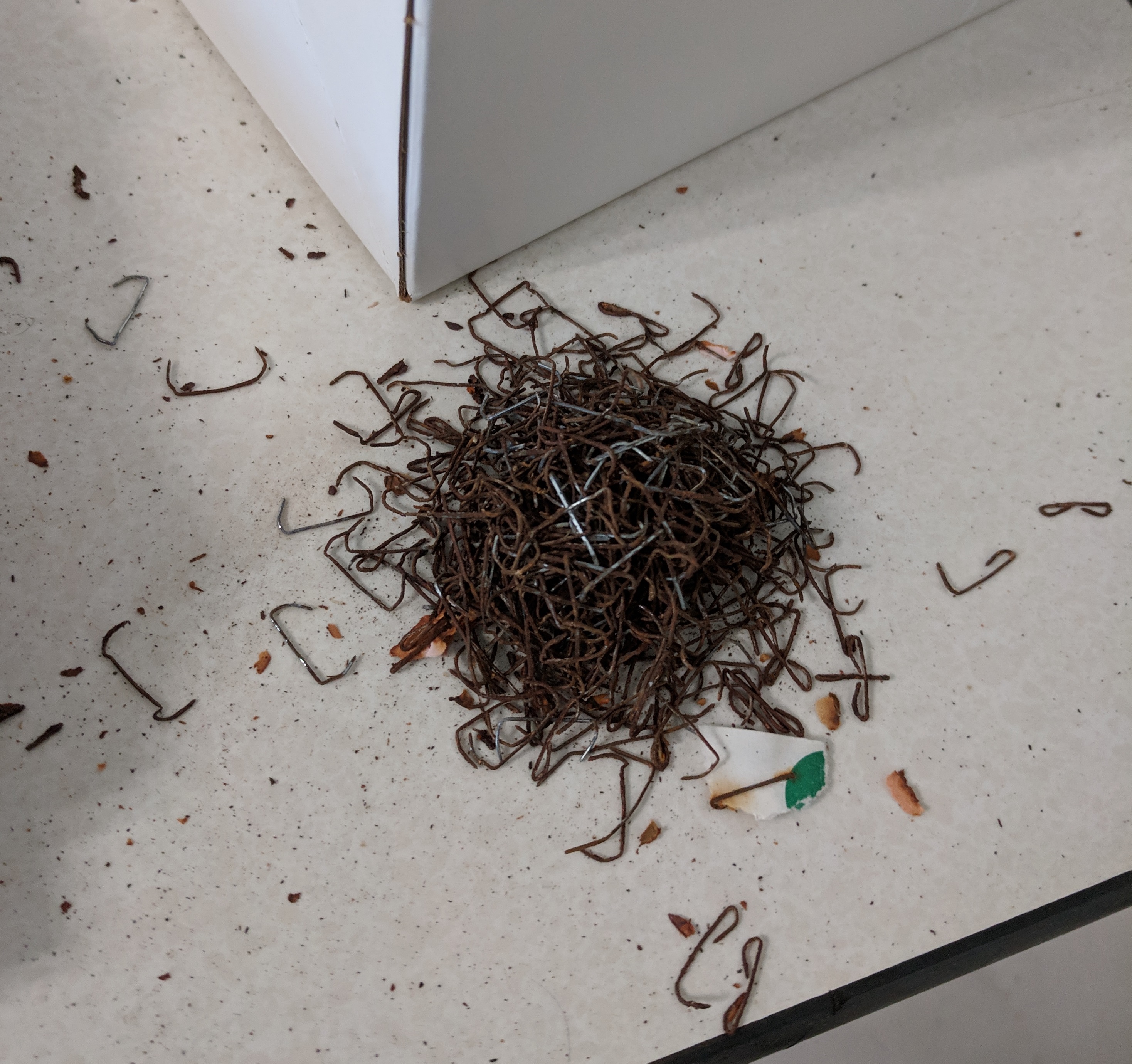 A closeup of a pile of several hundred rusty staples on a desk.